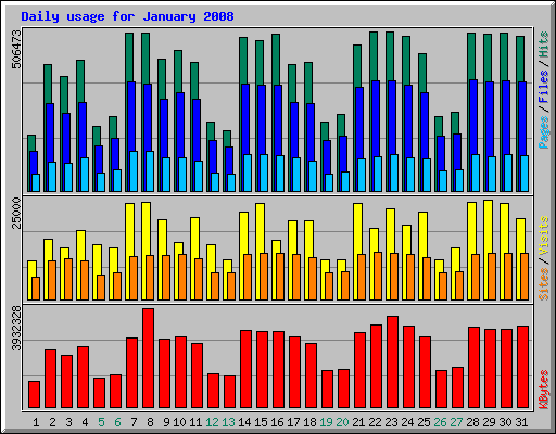 Daily usage for January 2008